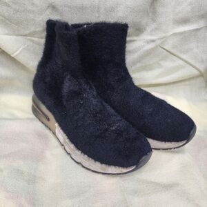 Ash King Knit Sneaker -black color